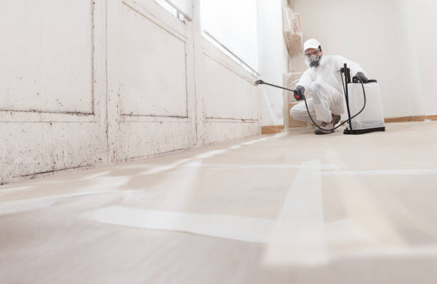 Black mold remediation team in Paxinos